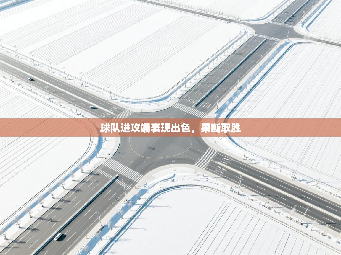 开云体育app下载地址-球队进攻端表现出色,果断取胜 第1张