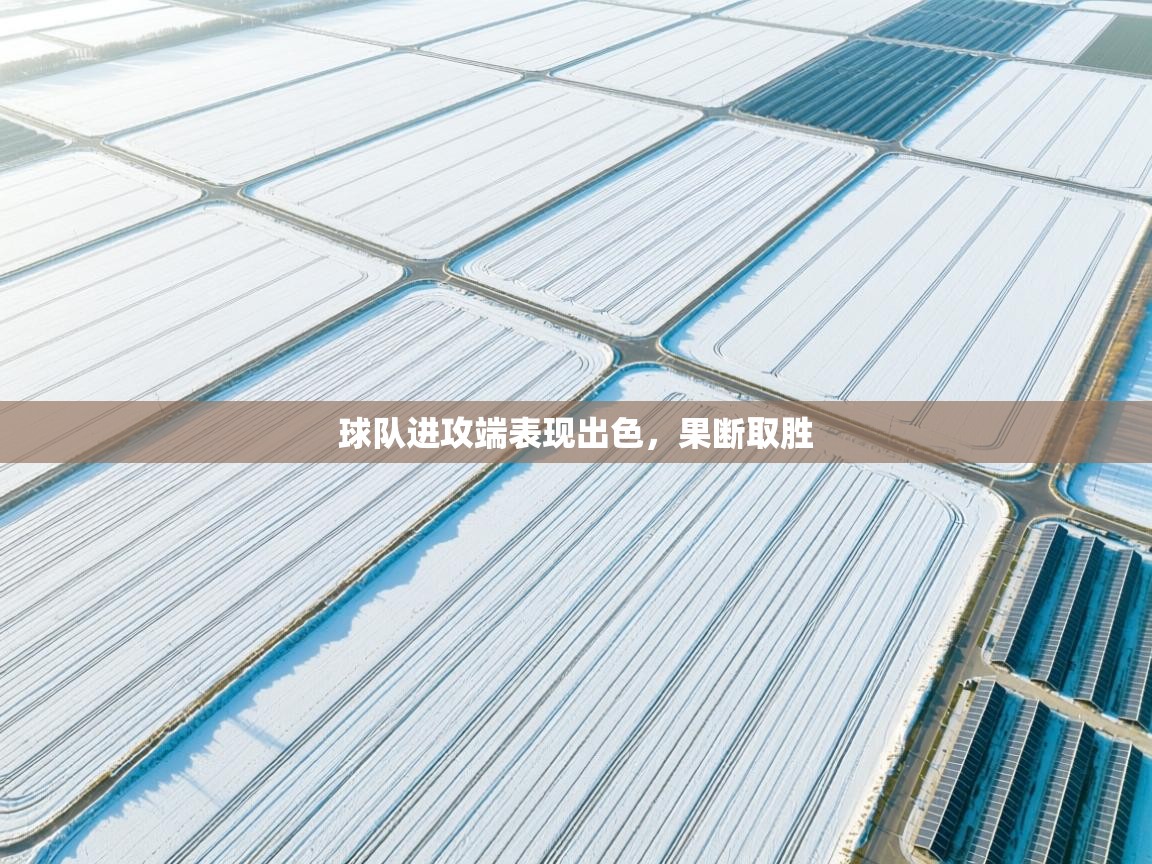 开云体育app下载地址-球队进攻端表现出色,果断取胜 第2张